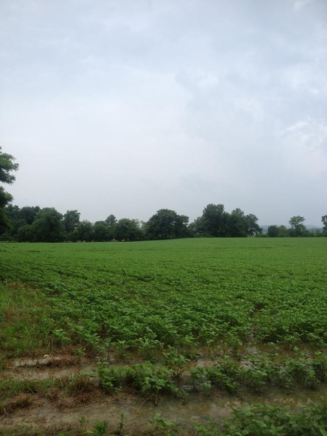 Union County, KY Estate Farm Kurtz Auction & Realty Co.